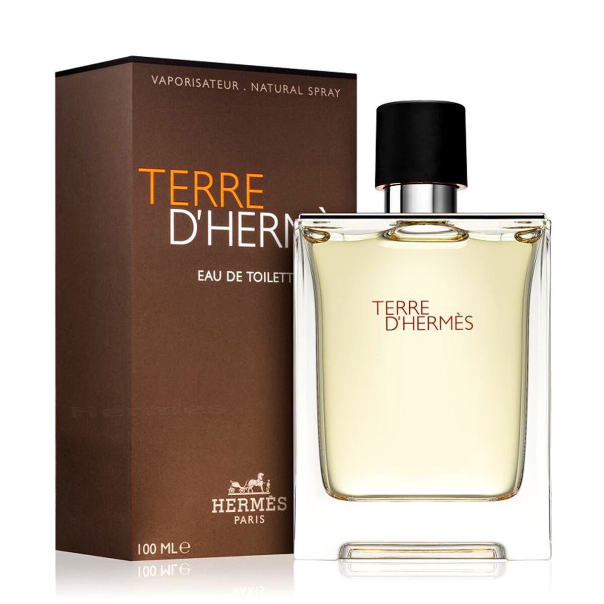 Hermès Terre D'Hermès EDT